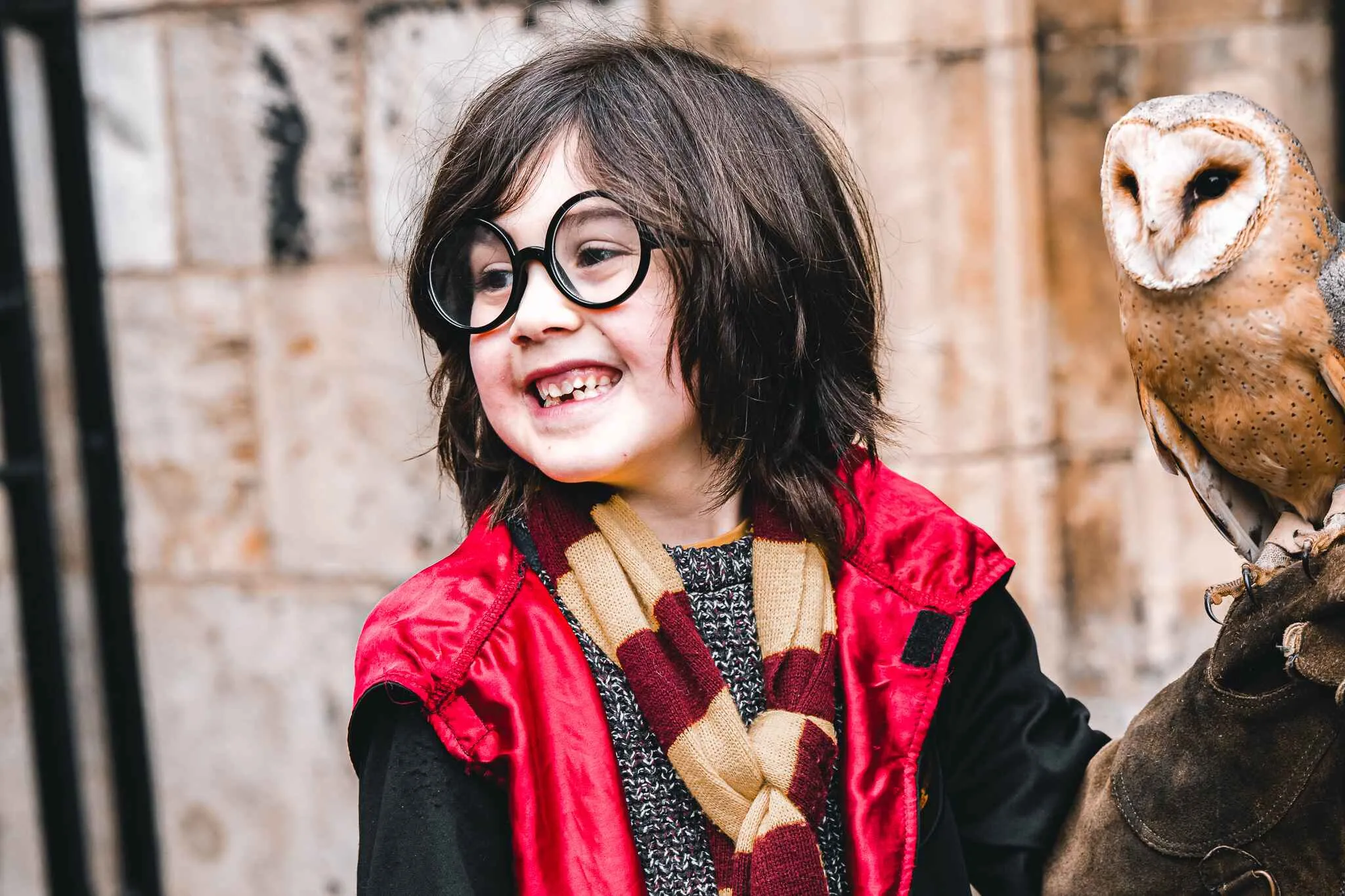 Child dressed as Harry Potter with an owl.